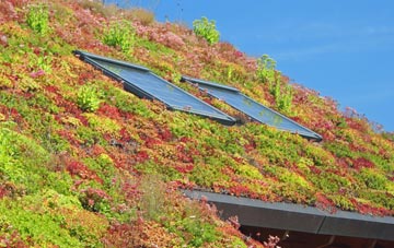 Rhyl living roof systems