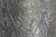 Rhyl fibreglass roof work